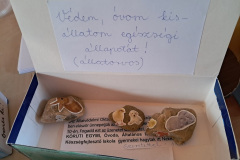 allatvedelem250310-3