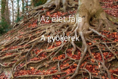 Dia1