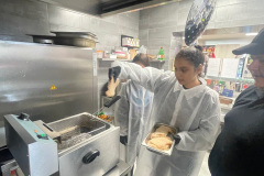 nemadomfel25-16