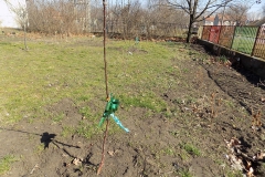 DSCN1456