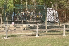 IMG_1561