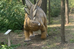 IMG_1563