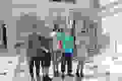 1000024680